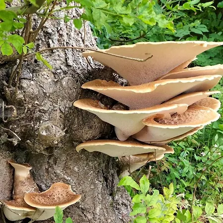 Blue Moon Self Catering Vakantiehuis