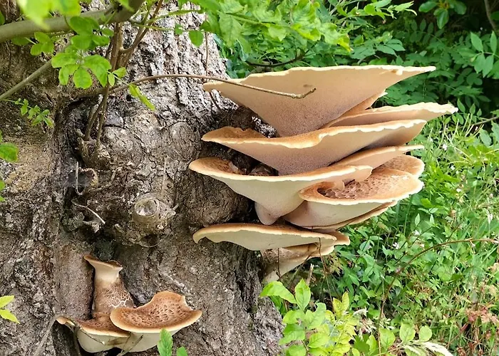 Blue Moon Self Catering Hébergement de vacances